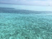Medzi obľúbené destinácie krásnej Katky patria Maledivy a Seychelly
