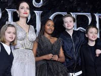 Angelina a Brad majú spolu šesť detí