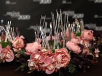 Miss Slovensko 2020 sa uskutoční 14.8. v živom prenose