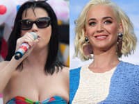 Katy Perry to veru vrámci tohto hair stylingu veľmi nevyšlo