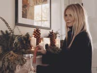 Reklamná kampaň Gwyneth Paltrow - v hlavnej úlohe vibrátor