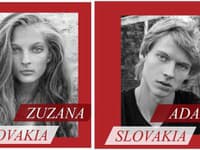 Schwarzkopf Elite Model Look 2020