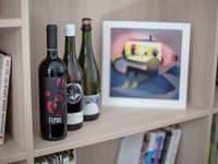 Okrem vínneho prekvapenia si členovia Wine Door Club môžu nájsť jednu z piatich originálnych ilustrácii