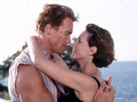 Fanúšikovia dúfajú, že seriál sa bude tiež niesť v duchu Arnoldovho filmu True Lies, z ktorého sa vraj takmer tiež stal televízny seriál. 