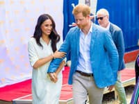 Harryho a Meghanina žiadosť o stretnutie vyvolala v krajanoch a ostatnej verejnosti negatívne ohlasy. 