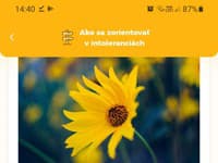 Aplikáciu stiahnete aj na Androide či iOSe