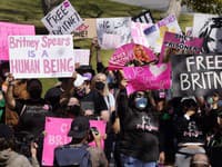 Za práva Britney protestovalo tisíce ľudí po celej Ameriky