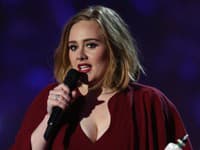 Verejnosť a fanúšikovia reagovali na zmenu z plnoštíhlej Adele na podstatne štíhlejšiu verziu rozporuplne. 