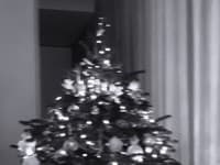 Obdobie Vianoc si známa kráska veľmi užíva