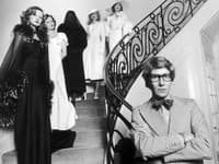 Najdramatickejšie roky života návrhára (1965 – 1976) veľmi citlivo a artovo zároveň zachytáva film režiséra Bertranda Bonella