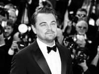Večný lámač ženských sŕdc, Leonardo DiCaprio, skončil v náručí tejto krásky, no ako skončil vzťah s jeho prvou partnerkou vôbec? 