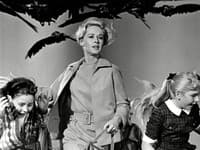 Tippi zahviezdila najmä vo filme legendárne Alfreda Hitchcocka