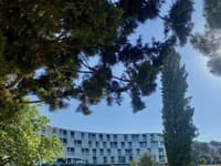 Nádherný borovicový park má svoje čaro