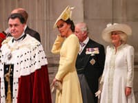 Kate vrhla pohľad na Williama a prikývla mu hlavou dopredu, aby ho prinútila prejsť okolo jeho brata Harryho. 