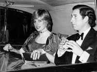 Charles a Diana sa mali zúčastniť večierku, ktorý usporiadala Camillina sestra, takže tam prirodzene bola prítomná aj sama Camilla. 