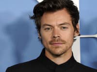 Harry Styles je uznávaný umelec
