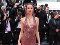 Alessandra Ambrosio