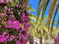 Benalmádena je plná farieb