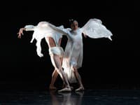 BezsLovE - Choreografia Martin Winter, kostýmový dizajn Marcel Holubec W