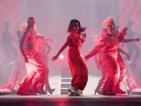Blue Ivy Carter už viackrát Beyoncé 