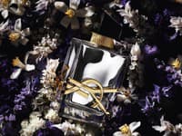 LIBRE LʼABSOLU PLATINE od Yves Saint Laurent
