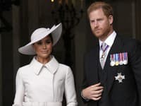 Nielenže sa Buckinghamský palác zaujíma o druhú knihu princa Harryho, ale je znepokojený ešte aj ďalšou možnou alternatívou. 