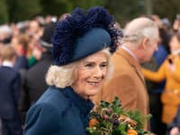 Camilla sa vraj na princa Harryho hnevá už dlho a preto ostala pobúrená, že si dovoľuje prísť bez súhlasu paláca. 