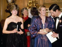 Mladá Diana Spencer mala vraj začať vzlykať v spoločnosti princeznej Grace z Monaka a mala ju aj požiadať o radu do života. 