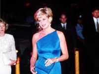 Za svojho života sa stihla jedného METGALA zúčastniť necelý rok pred svojou smrťou aj princezná Diana. 