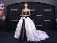 Zendaya a jej osobná stylistka Law Roach majú talent na výber vhodného vzhľadu pre danú udalosť, na ktorej sa zúčastní.