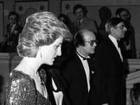 Diana bola pozvaná na párty, ktorú usporiadala sestra Camilly, Annabel Elliot, no nikto nečakal, že naozaj príde. 