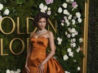Zendaya v róbe Louis Vuitton