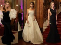 Česko-Slovenský ples 2025: Andrea Verešová prekvapila výberom šiat, známa speváčka zažiarila v róbe ako Audrey Hepburn