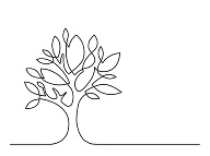 BAUM TEST na pohovore: BAUM TEST na pohovore: