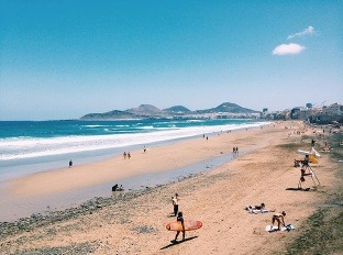 The Surf Office