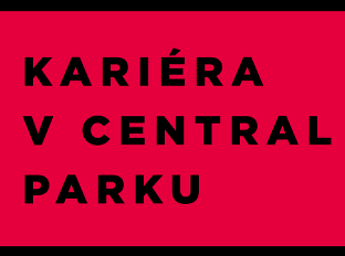 Kariera v central parku