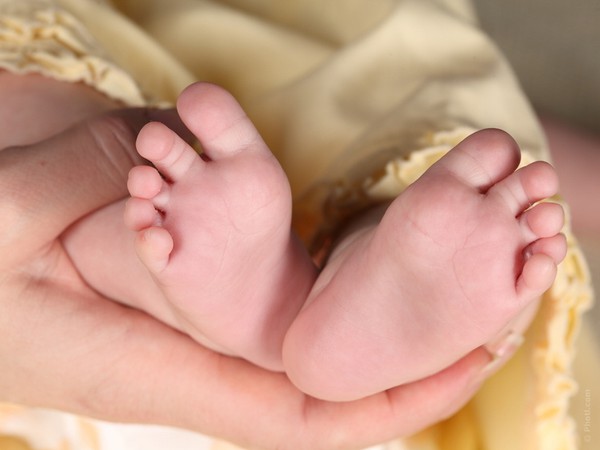 Výška materského príspevku sa počíta odo dňa nástupu na materskú dovolenku. 