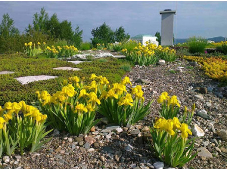 Zelená /vegetačná/ strecha – Zelená /vegetačná/ strecha –