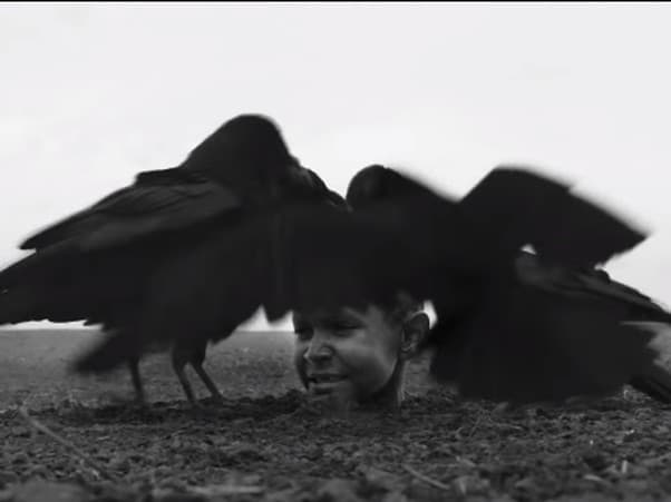 Záber z filmu Pomaľované vtáča