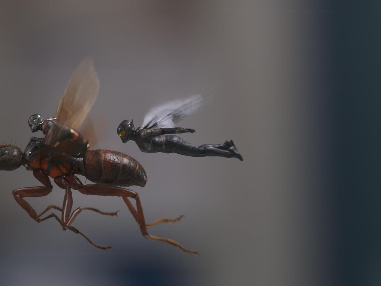 Záber z filmu Ant-Man a Wasp