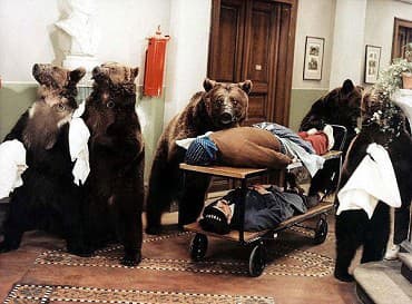 Šesť medveďov s Cibulkom