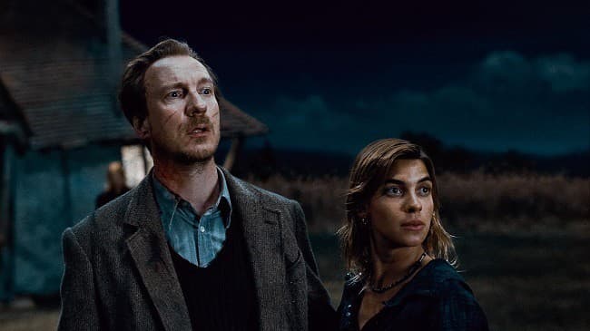 Harry Potter, Remus Lupin