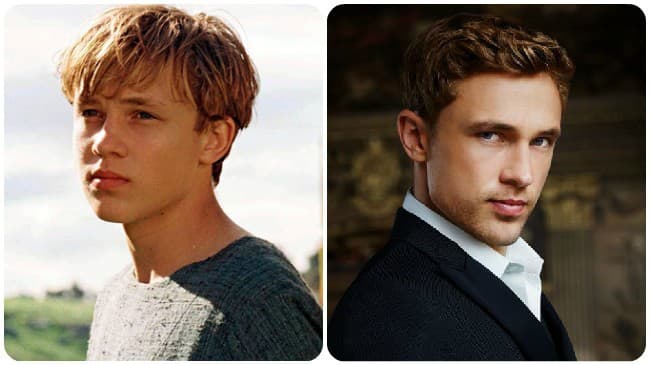 William Moseley, Narnia, The