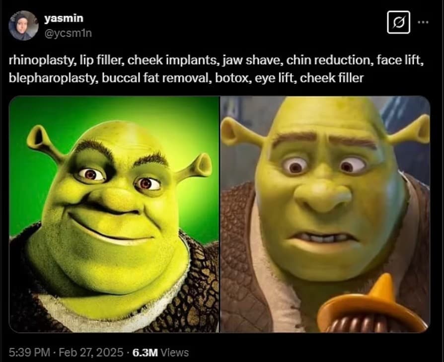 PRVÉ ZÁBERY nového Shreka: