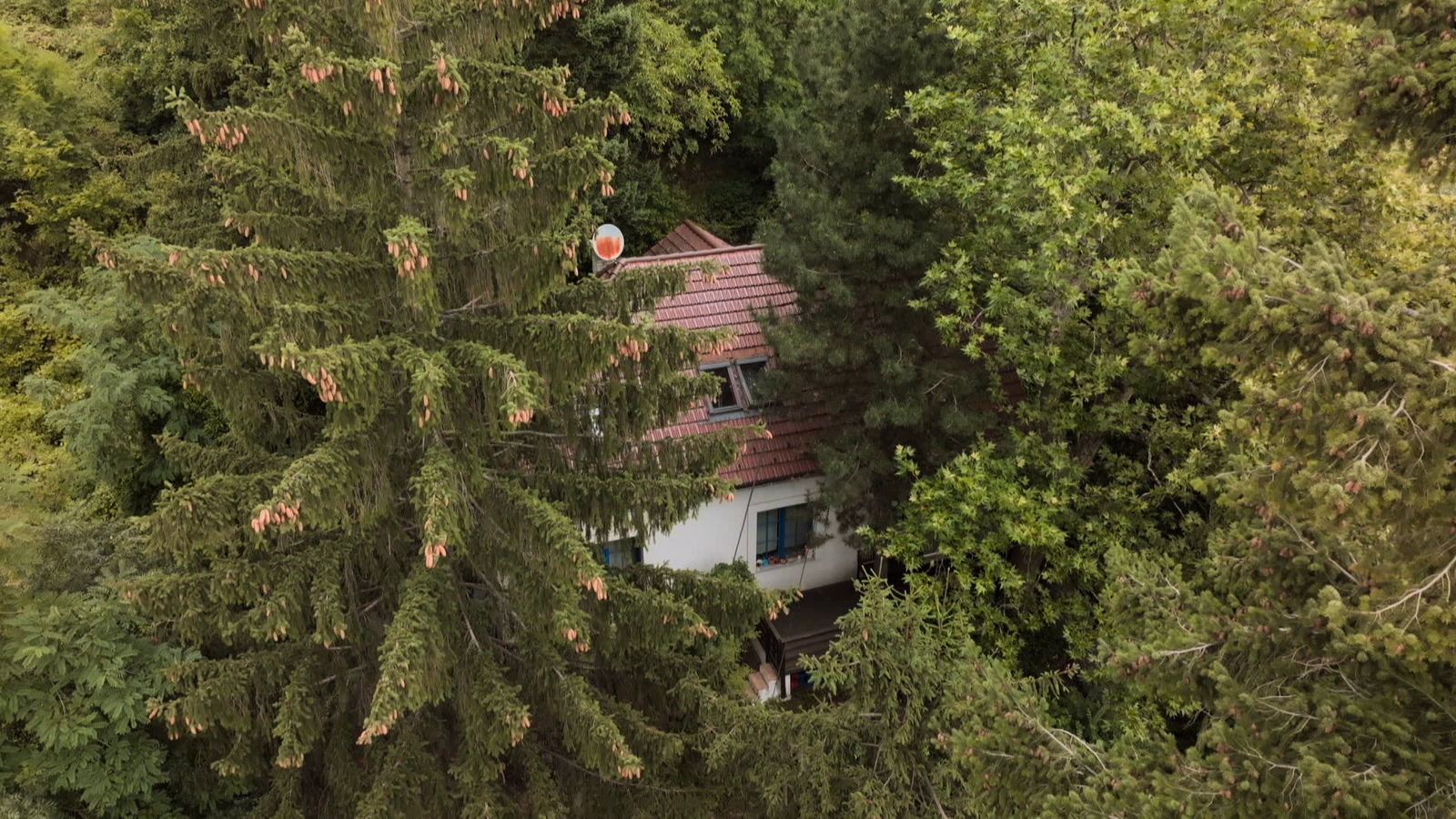 Televízna Dvojka oslavuje 55.