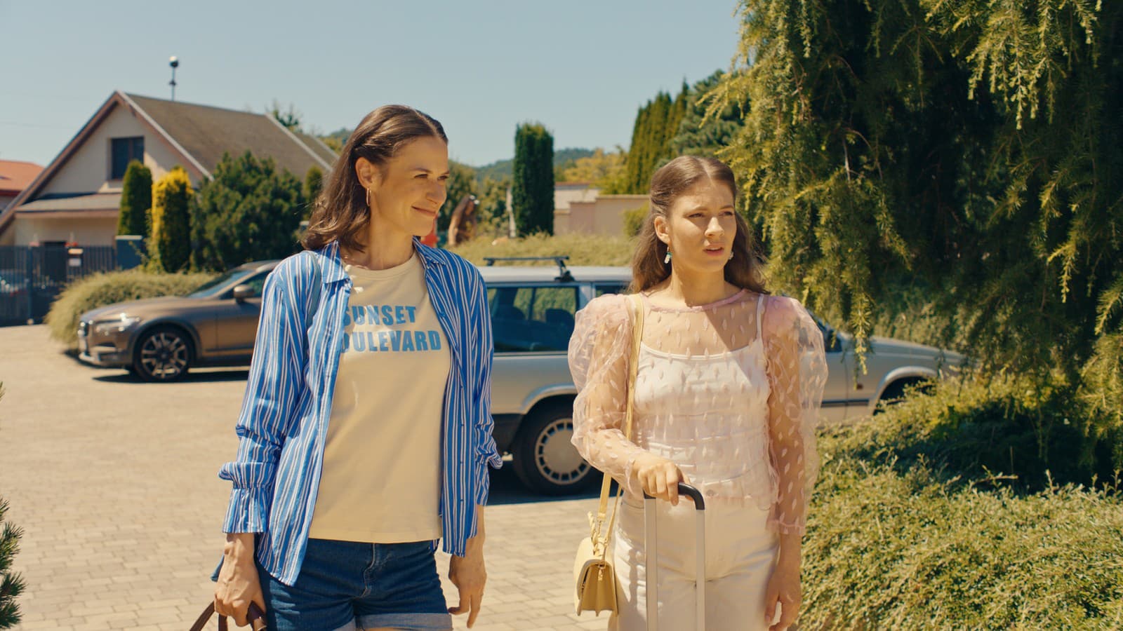Kristián Baran bojuje s bolesťou kolena počas Let's Dance, no odmieta odstúpiť — image 3