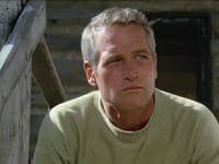 Paul Newman vo filme Sometimes a Great Notion