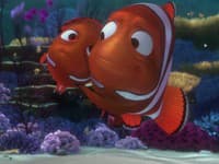 Hľadá sa Nemo