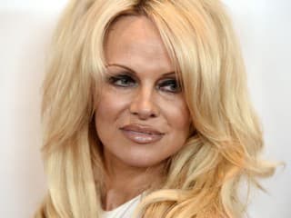 Sexica Pamela Anderson sa