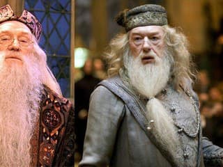Dvaja herci hrajúci Dumbledorea